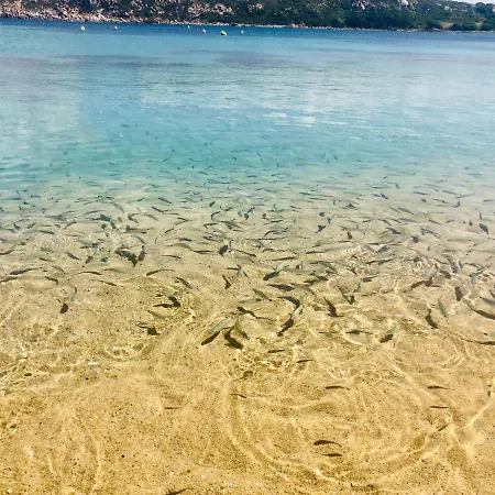 Nausicaa Pool View *